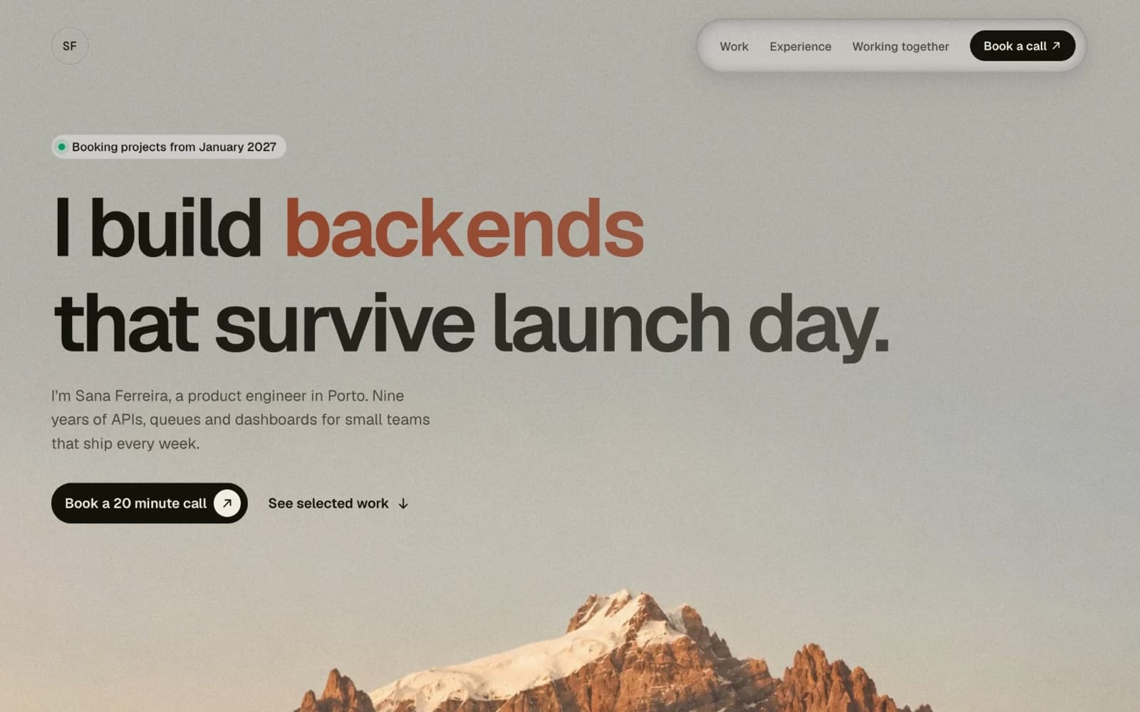 Developer portfolio template